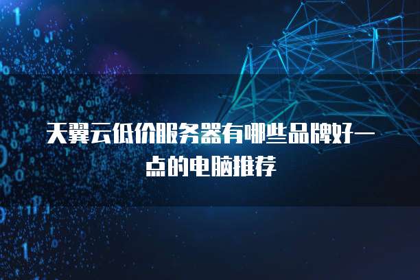 便宜服務器有哪些品牌好一點的電腦